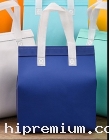 NEW32881_Cooller Bag